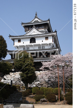 岩国城と桜 677139