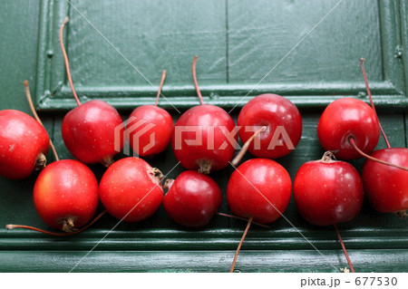 ひめりんご 677530