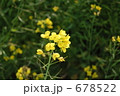 678522