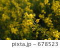 678523