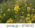 678532