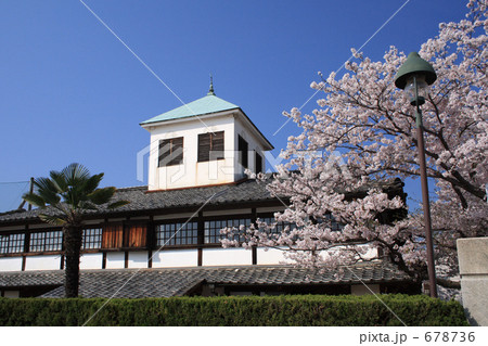 桜咲く岩国学校 678736