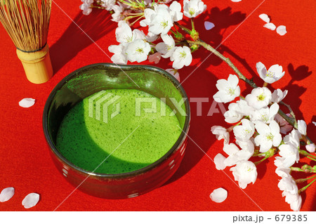 お花見茶会イメージ 679385