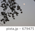 千鳥ヶ淵公園の桜と月 679475
