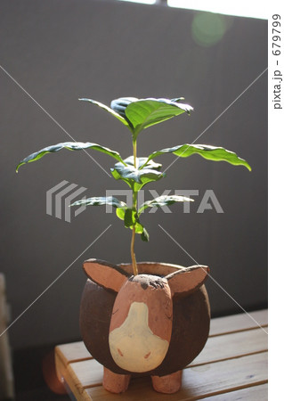679799