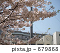 2009年の桜*34 679868