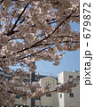 2009年の桜*35 679872