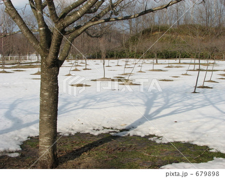 雪解けの公園 雪解けの公園 679898