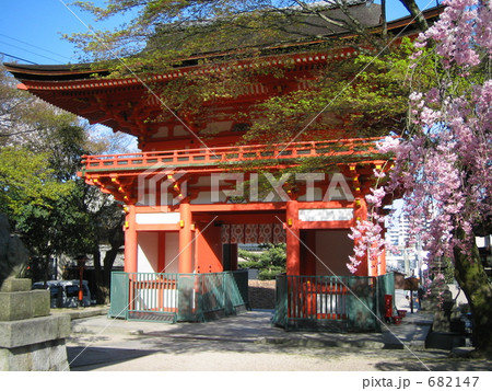 長等神社楼門 長等神社楼門 682147