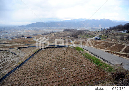 姨捨の棚田 682523