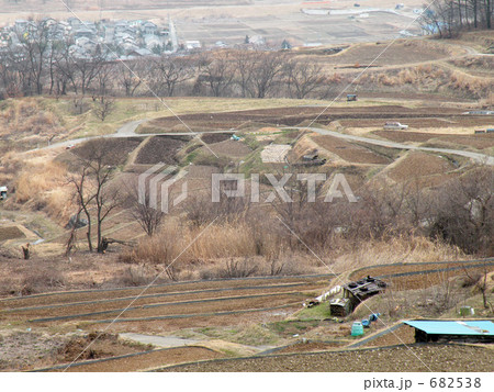 姨捨の棚田 682538