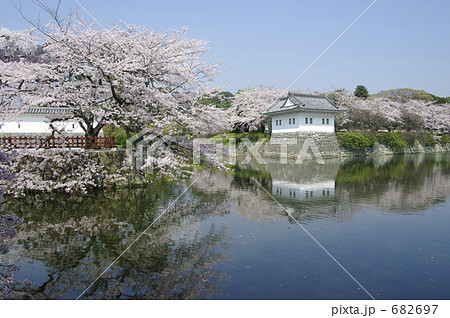 小田原城址公園の桜と二の丸隅櫓 682697