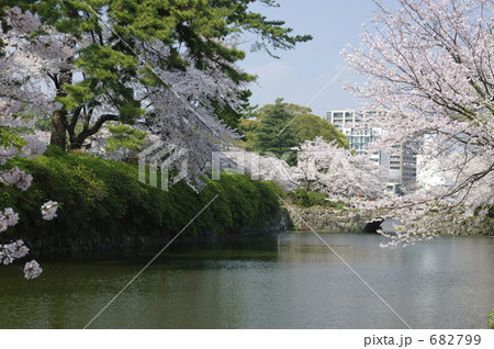 小田原城址公園の桜と二の丸堀 小田原城址公園の桜と二の丸堀 682799