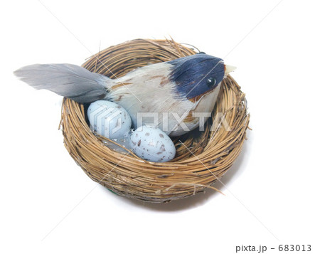 小鳥の模型 683013