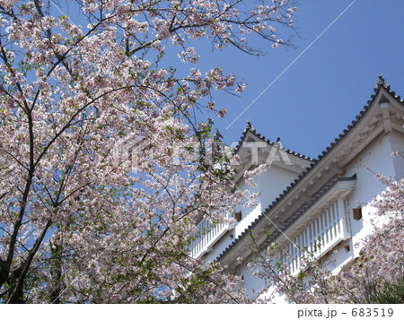 桜とお城 683519
