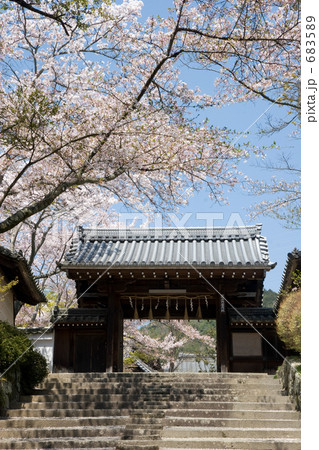 薬医門と桜 薬医門と桜 683589