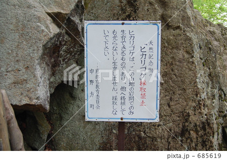 ヒカリゴケ自生地案内板 685619