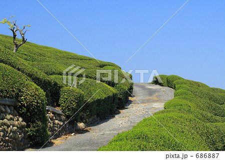 峠道2 686887