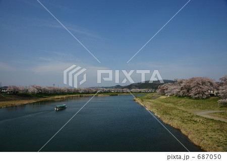 白石川の一目千本桜 白石川の一目千本桜 687050