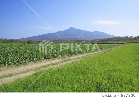 斜里岳と一本道 687806