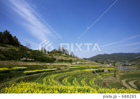 明日香村稲淵の棚田 明日香村稲淵の棚田 688265