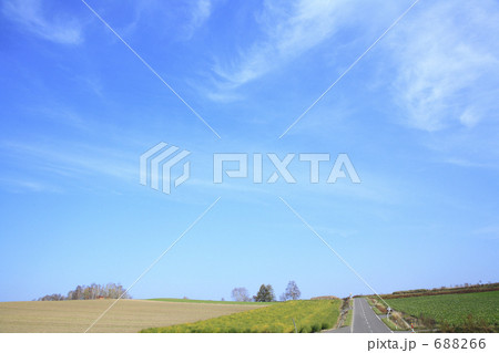 丘の風景 丘の風景 688266