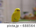 688564