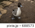 688573