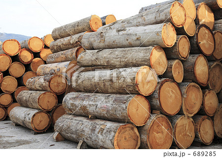 積み上げられた原木 689285