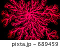 脈々と 689459