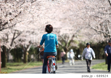 桜の中を 689924