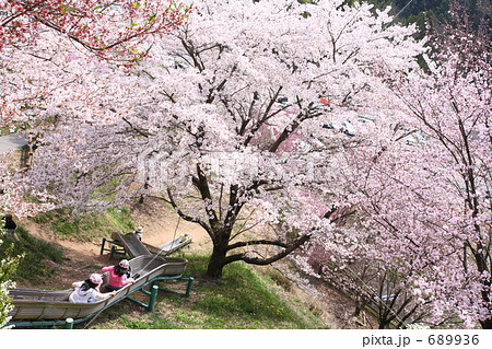 春の滑り台 689936