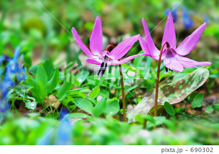 春風の中で・・・ 690302