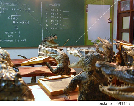 ワニの剥製　crocodilians 691117