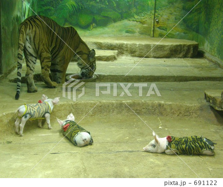 同居 トラと仔豚 tiger&piglet 同居 トラと仔豚 tiger&piglet 691122