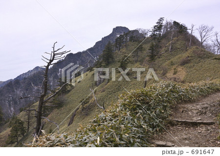 ４月の石鎚山土小屋登山道 691647