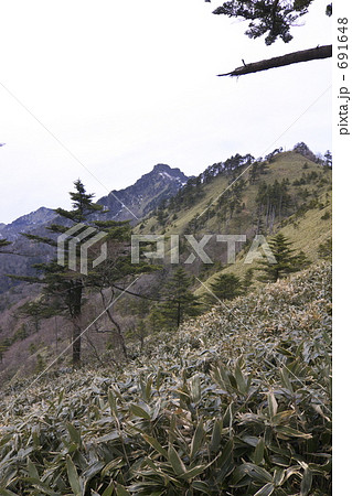 ４月の石鎚山土小屋登山道 691648