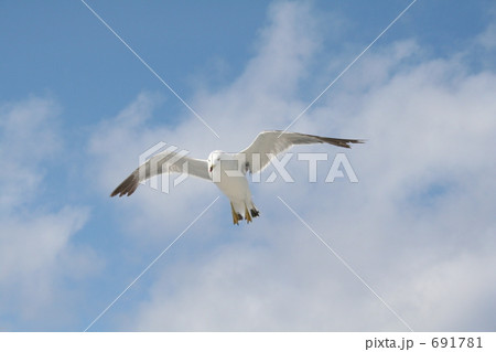 ターゲット 691781