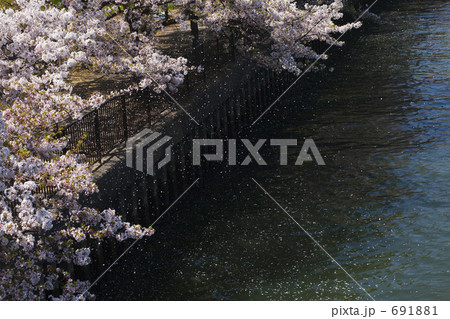 川面に桜吹雪 川面に桜吹雪 691881