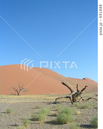 世界最古にして最大の砂丘・ナミビアのDune45 世界最古にして最大の砂丘・ナミビアのDune45 691888