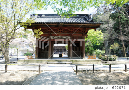 妙本寺 692071
