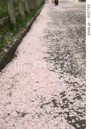 春の終わり 692749
