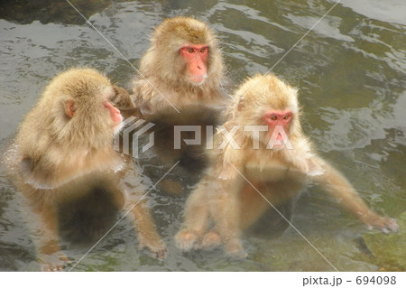 ファミリー ファミリー 694098