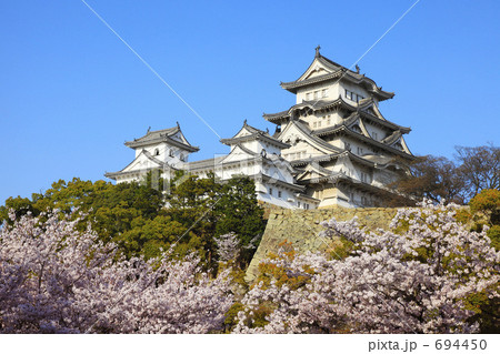 桜と姫路城 694450