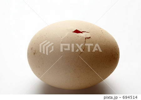 ひび割れた卵の写真素材