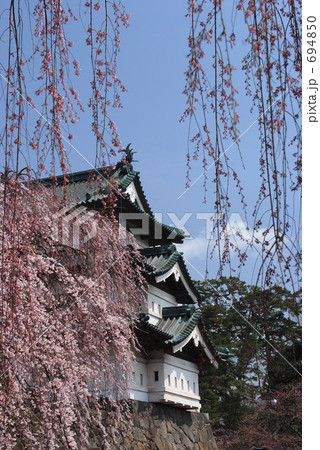 弘前城さくら 2009年 弘前城さくら 2009年 694850