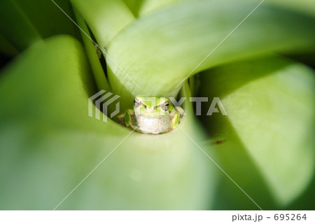 我が家 我が家 695264