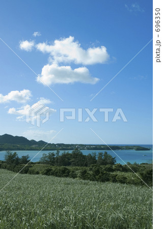 石垣島の海と畑 696350