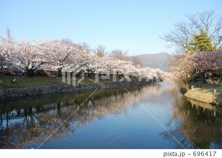 桜並木 696417
