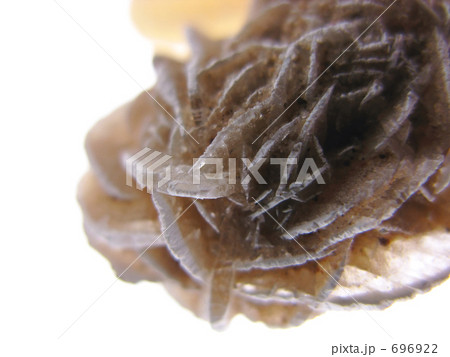 デザートローズ 696922